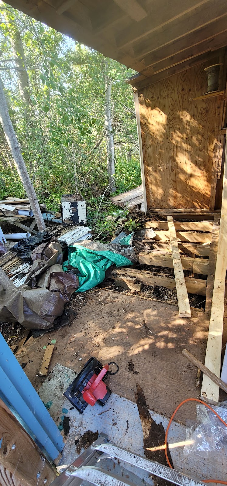 Rotted porch floor tear-out & rebuild — Ontario